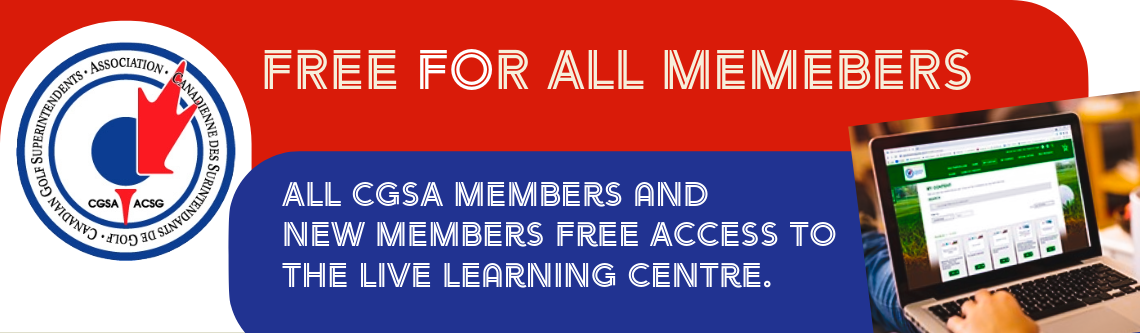 2025 LLC Free Banner