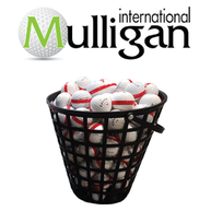 Mulligan---Black-Basket-Image.png